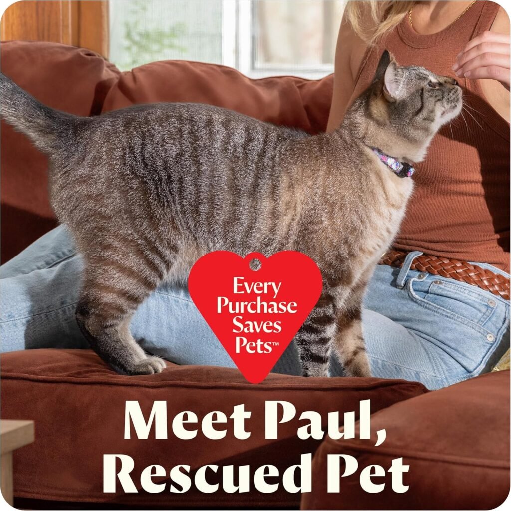 7 Reasons the BISSELL Little Green HydroSteam Pet is the Best Portable Cleaner 3 91le5OcNvkL. AC SL1500 Clark Reviews